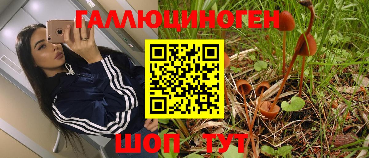Нижний Тагил  Псилоцибиновые грибы Psilocybe  Вход с VPN 