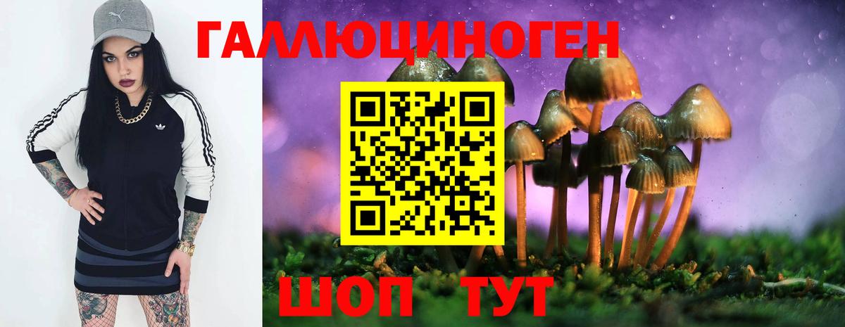Галлюциногенные грибы MAGIC MUSHROOMS Нижний Тагил